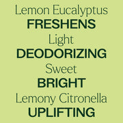 Plant Therapy Organic Lemon Eucalyptus Essential Oil Essential Oil