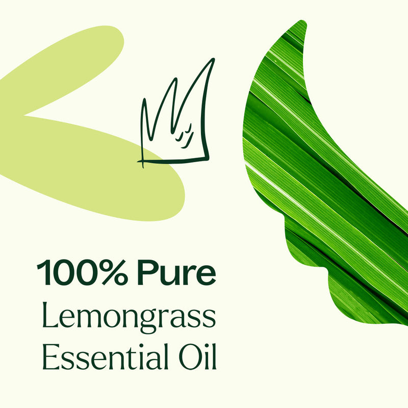 Plant Therapy Organic Lemongrass Essential Oil Essential Oil