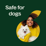 Plant Therapy Organic Lemongrass Essential Oil Essential Oil