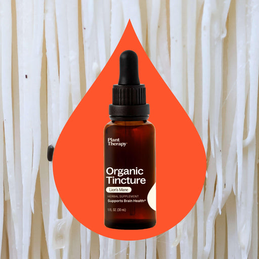 Plant Therapy Organic Lion's Mane Tincture Supplement