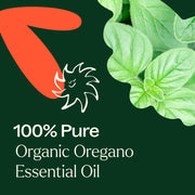 Plant Therapy Organic Oregano Essential Oil Essential Oil