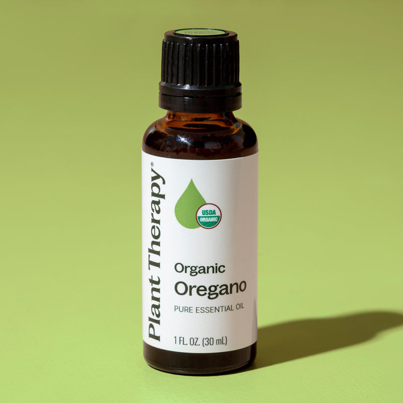 Plant Therapy Organic Oregano Essential Oil Essential Oil