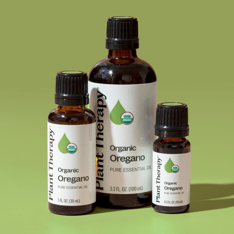 Plant Therapy Organic Oregano Essential Oil Essential Oil