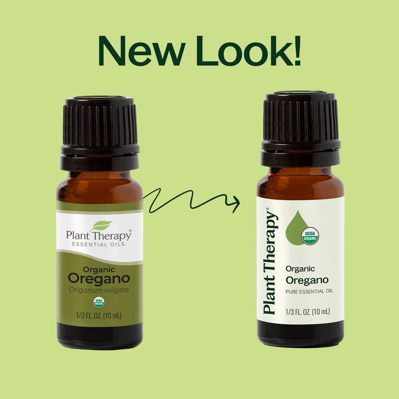 Plant Therapy Organic Oregano Essential Oil Essential Oil