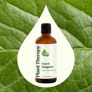 Plant Therapy Organic Oregano Essential Oil Essential Oil