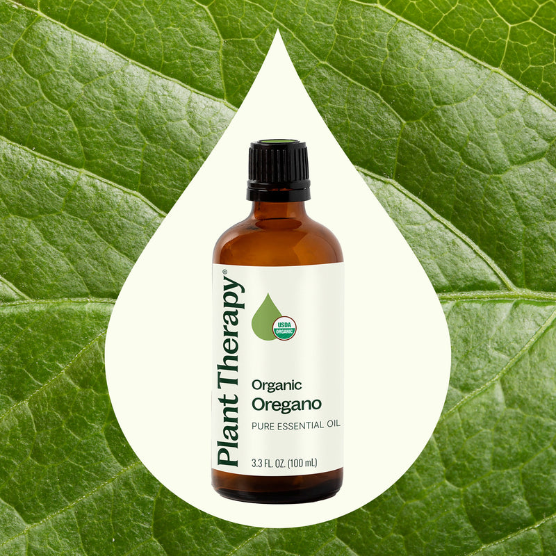 Plant Therapy Organic Oregano Essential Oil Essential Oil