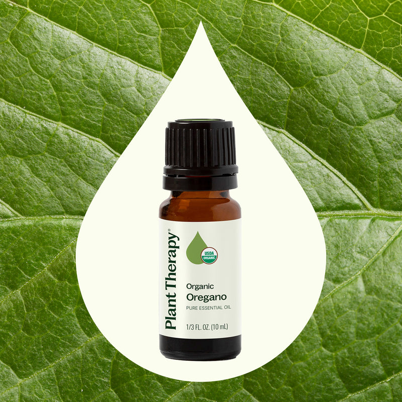 Plant Therapy Organic Oregano Essential Oil Essential Oil