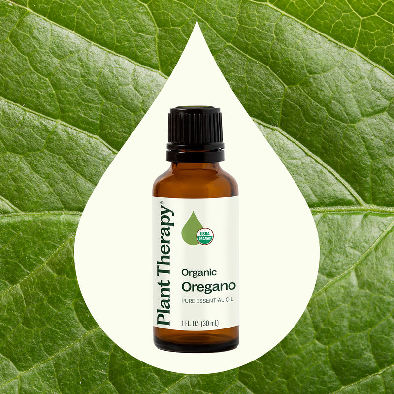 Plant Therapy Organic Oregano Essential Oil Essential Oil