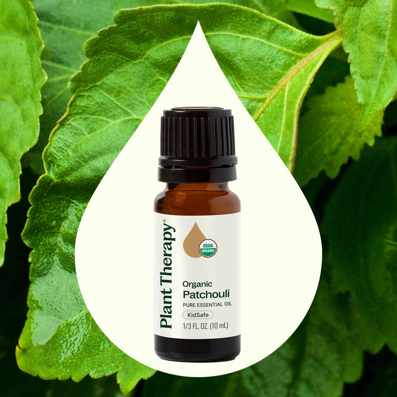 Plant Therapy Organic Patchouli Essential Oil Essential Oil