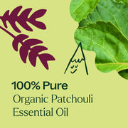 Plant Therapy Organic Patchouli Essential Oil Essential Oil