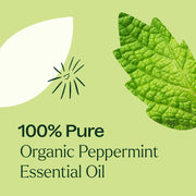 Plant Therapy Organic Peppermint Essential Oil Essential Oil