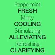 Plant Therapy Organic Peppermint Essential Oil Essential Oil