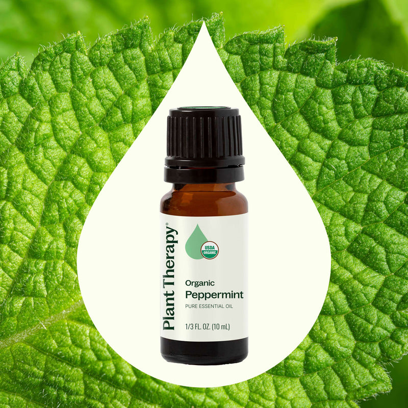 Plant Therapy Organic Peppermint Essential Oil Essential Oil