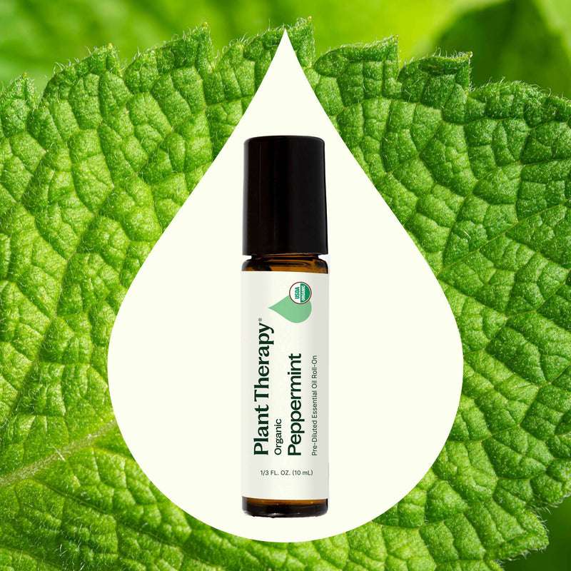 Plant Therapy Organic Peppermint Essential Oil Pre-Diluted Roll-On Essential Oil
