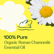 Plant Therapy Organic Roman Chamomile Essential Oil Essential Oil