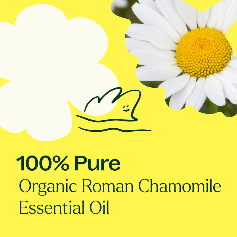 Plant Therapy Organic Roman Chamomile Essential Oil Essential Oil