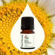 Plant Therapy Organic Roman Chamomile Essential Oil Essential Oil