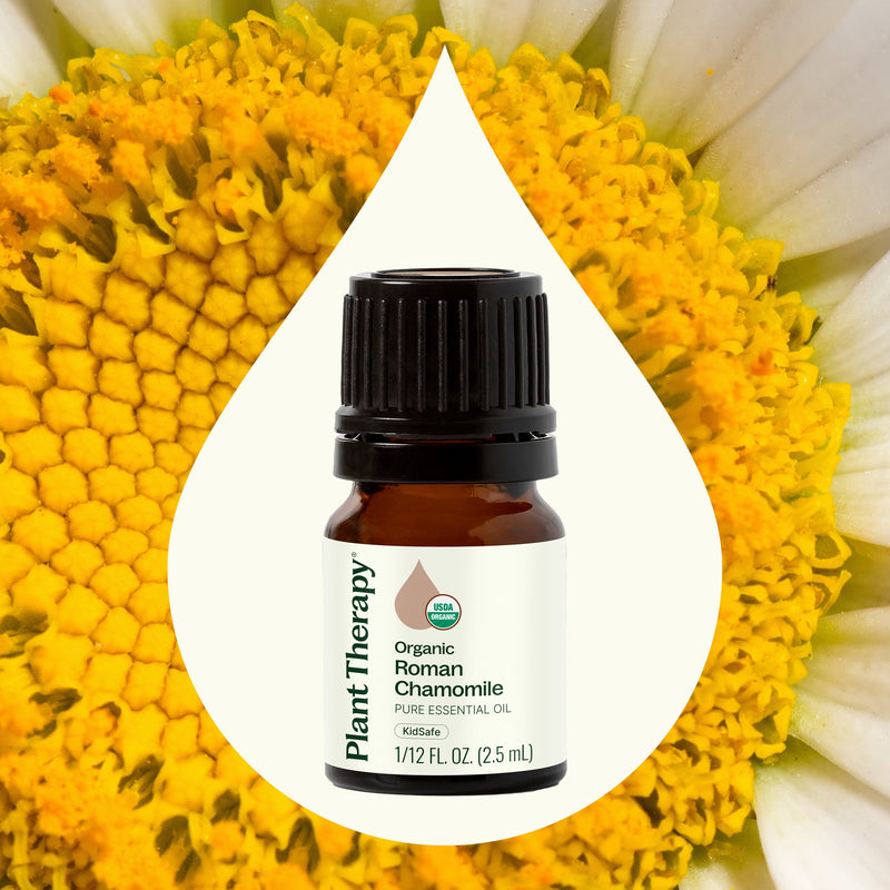 Plant Therapy Organic Roman Chamomile Essential Oil Essential Oil
