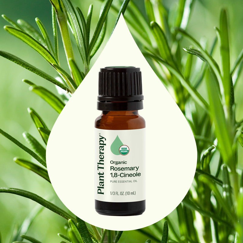 Plant Therapy Organic Rosemary 1,8-Cineole Essential Oil Essential Oil