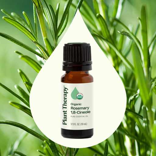 Plant Therapy Organic Rosemary 1,8-Cineole Essential Oil Essential Oil