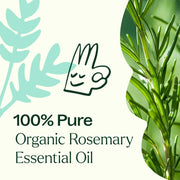 Plant Therapy Organic Rosemary 1,8-Cineole Essential Oil Essential Oil