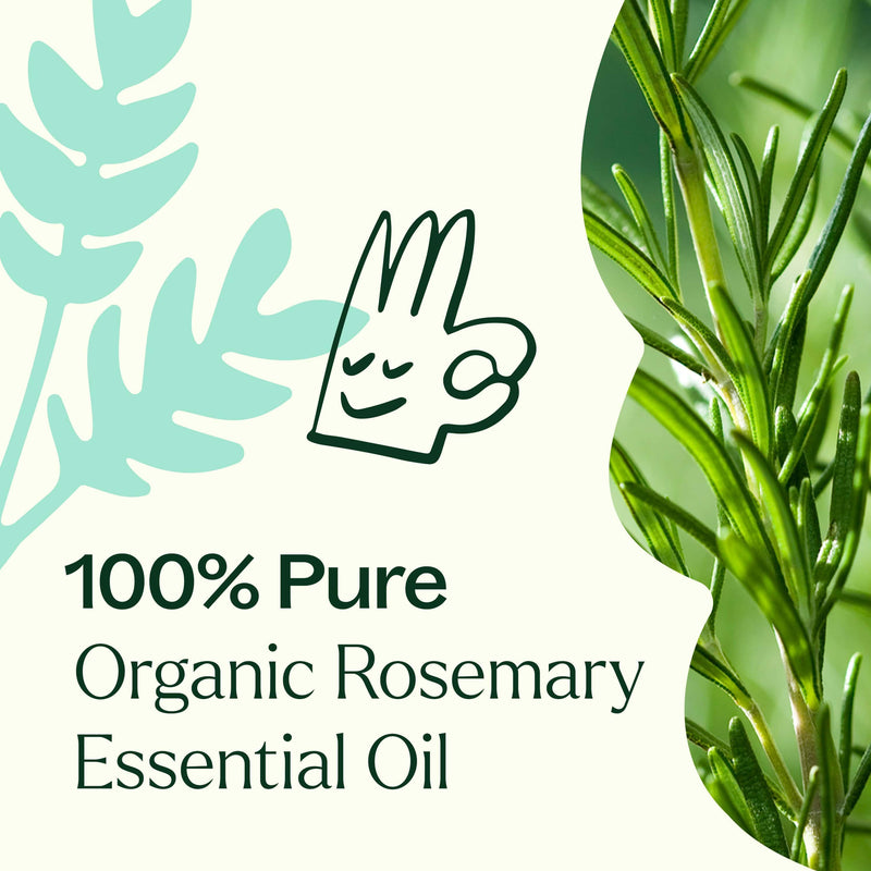 Plant Therapy Organic Rosemary 1,8-Cineole Essential Oil Essential Oil