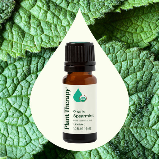 Plant Therapy Organic Spearmint Essential Oil Essential Oil