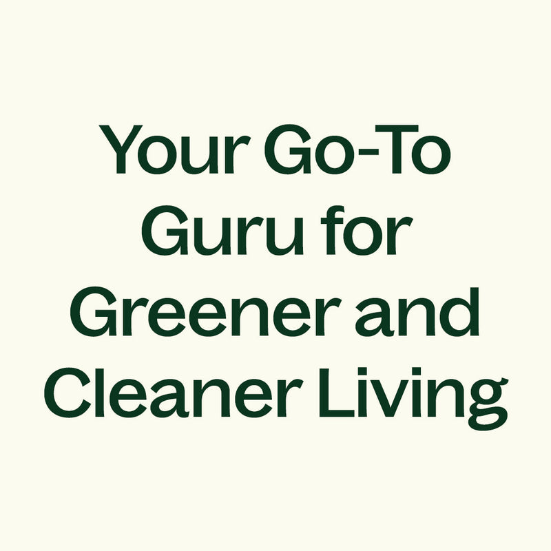 Plant Therapy Organic Sunflower Carrier Oil Body Care