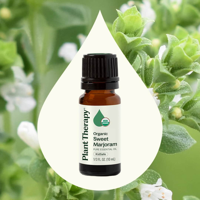 Plant Therapy Organic Sweet Marjoram Essential Oil Essential Oil