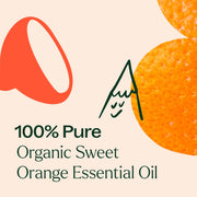 Plant Therapy Organic Sweet Orange Essential Oil Essential Oil