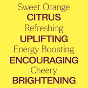 Plant Therapy Organic Sweet Orange Essential Oil Essential Oil