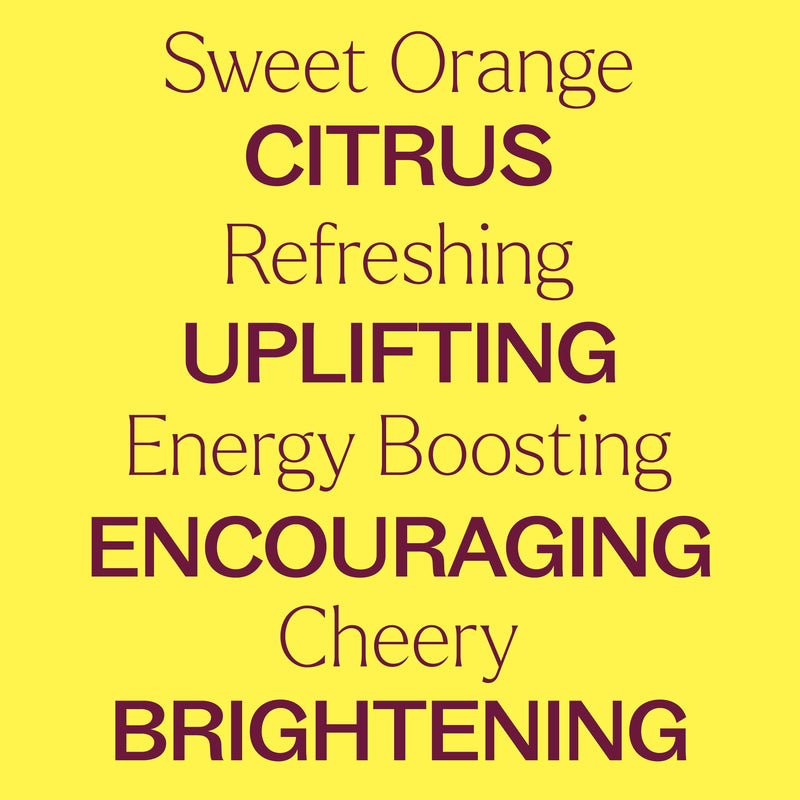 Plant Therapy Organic Sweet Orange Essential Oil Essential Oil