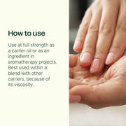 Plant Therapy Organic Tamanu Carrier Oil 4 oz Body Care