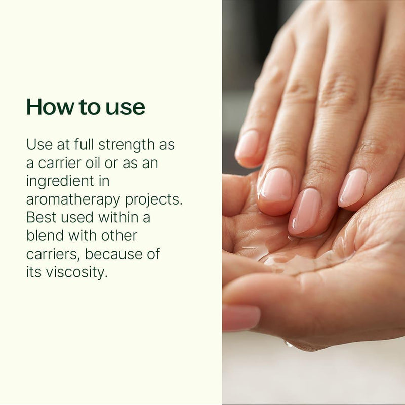 Plant Therapy Organic Tamanu Carrier Oil 4 oz Body Care