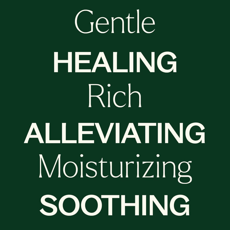 Plant Therapy Organic Tamanu Carrier Oil 4 oz Body Care