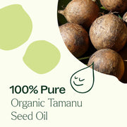 Plant Therapy Organic Tamanu Carrier Oil 4 oz Body Care