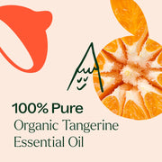 Plant Therapy Organic Tangerine Essential Oil Essential Oil