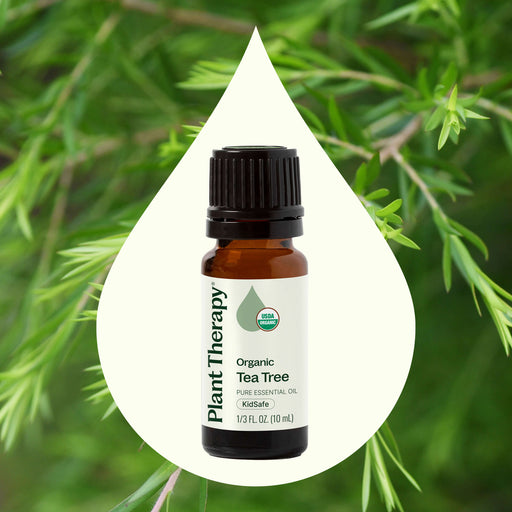 Plant Therapy Organic Tea Tree Essential Oil Essential Oil