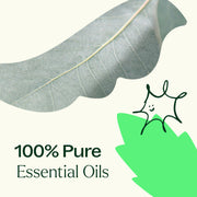 Plant Therapy Organic Tension Ease™ Essential Oil Blend Essential Oil