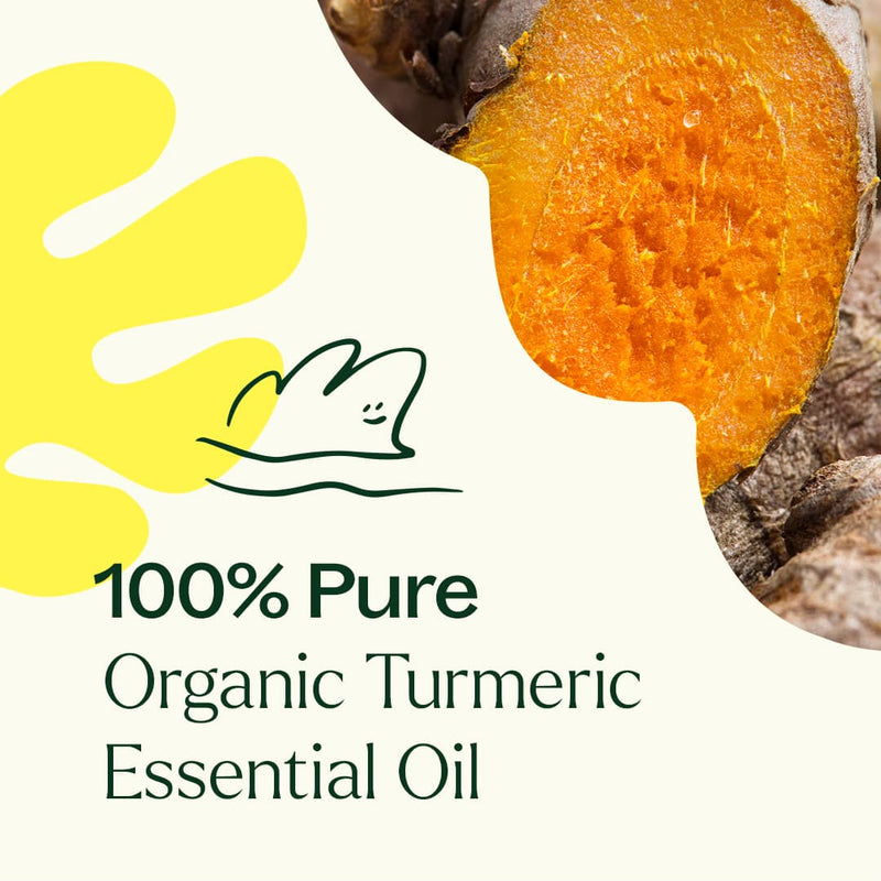 Plant Therapy Organic Turmeric CO2 Extract Essential Oil