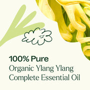 Plant Therapy Organic Ylang Ylang Complete Essential Oil Essential Oil