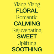 Plant Therapy Organic Ylang Ylang Complete Essential Oil Essential Oil