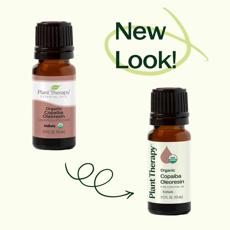 Plant Therapy Organic Copaiba Oleoresin Essential Oil
