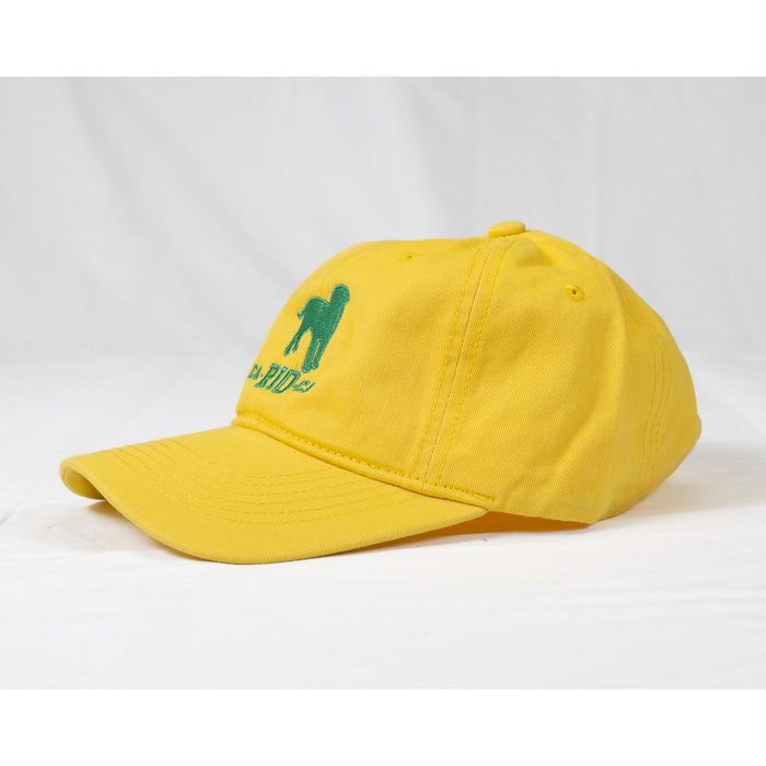 CA-RIO-CA Logo Embroidered Designer Dad Hat - Men's Baseball Cap - Multiple Colors