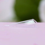 Red Iguana LLC Gothic Stiletto Tips Nail Tips