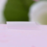 Red Iguana LLC Square Tips Nail Tips