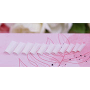 Red Iguana LLC Square Tips Nail Tips