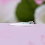 Red Iguana LLC Ballerina Tips Nail Tips