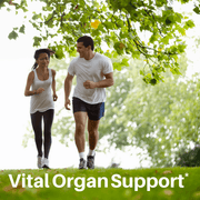 SpeedyVite® Classic Liver & Gallbladder Cleanse Drops — 2 fl oz | SpeedyVite® Drops