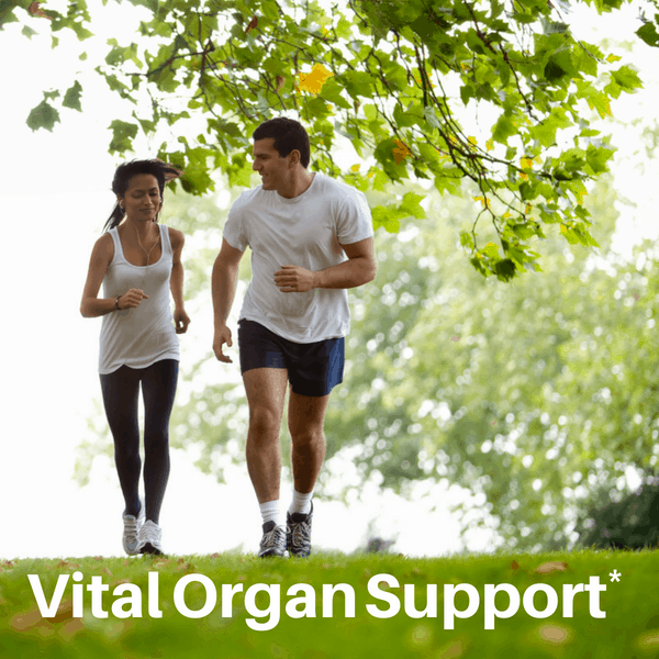 SpeedyVite® Classic Liver & Gallbladder Cleanse Drops — 2 fl oz | SpeedyVite® Drops